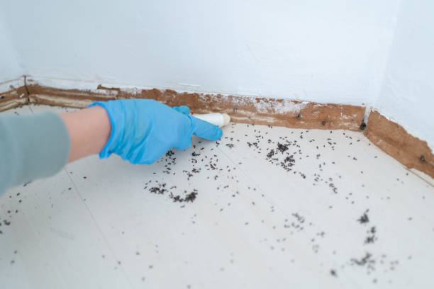 Best Residential Pest Control  in West End Cobb Town, AL